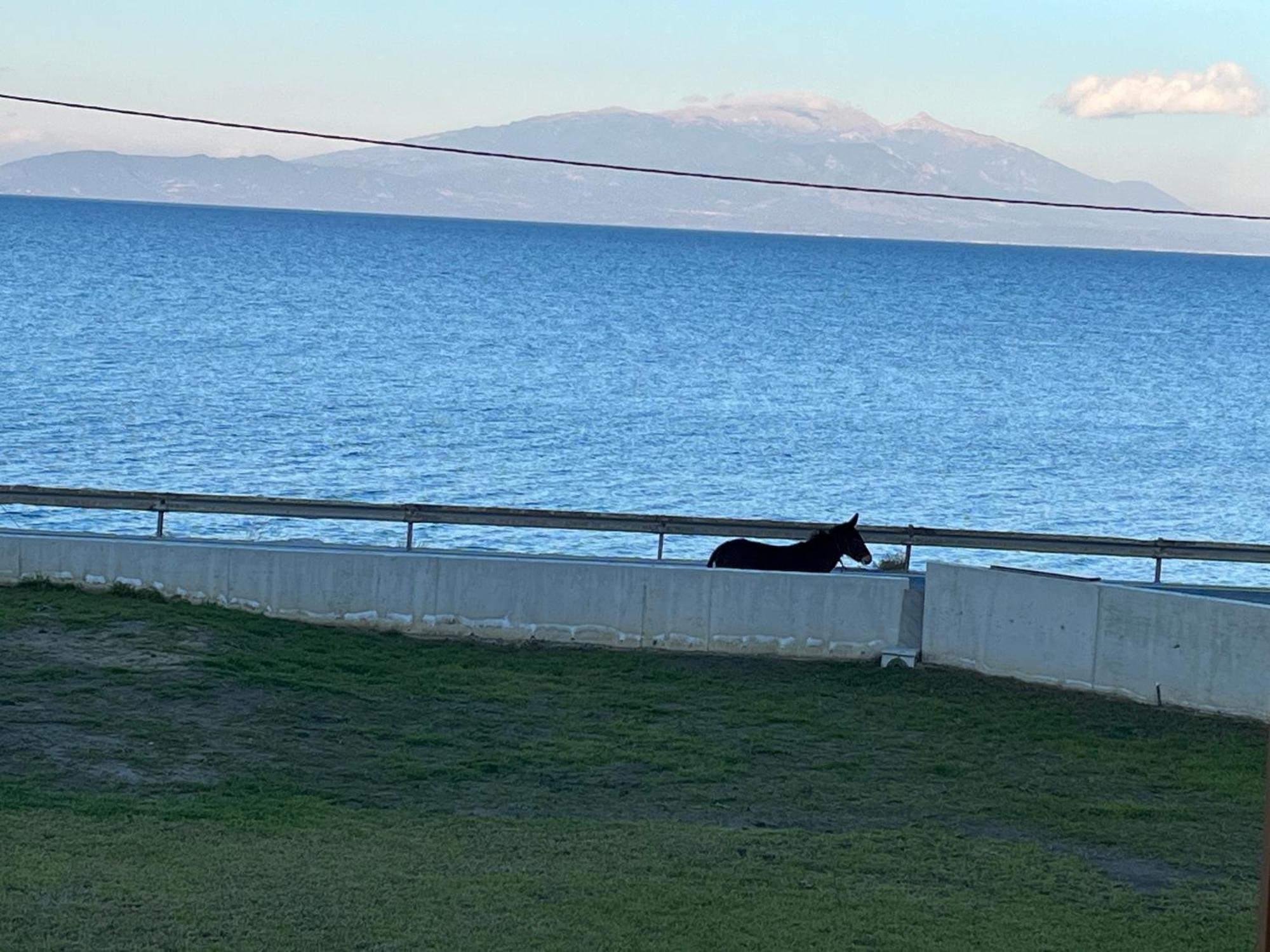 Balance Accommodation Stavros  Esterno foto